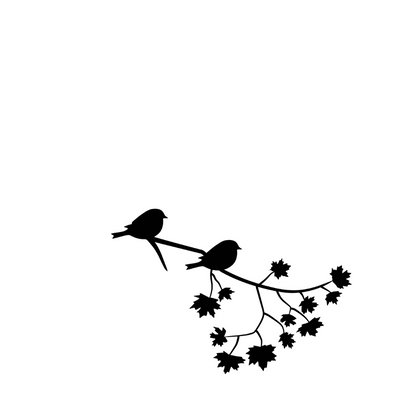 Raamfolie vogels op tak