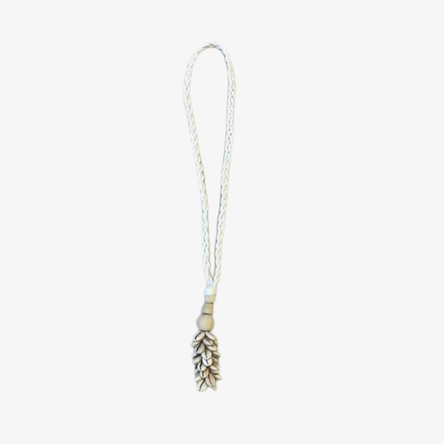 Decorative shell hanger