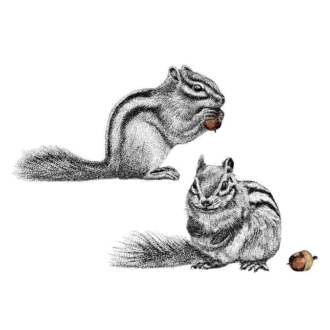 Eichhörnchen-Wandaufkleber 2er-Set