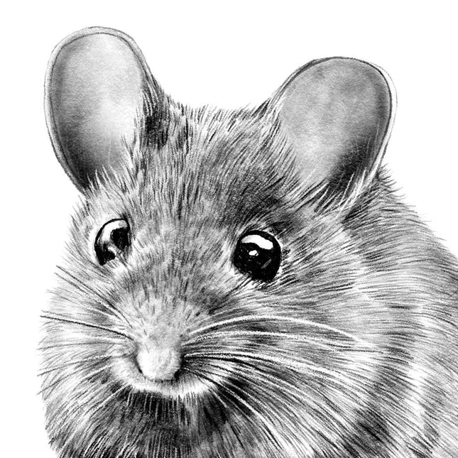 Wandaufkleber Waldmaus