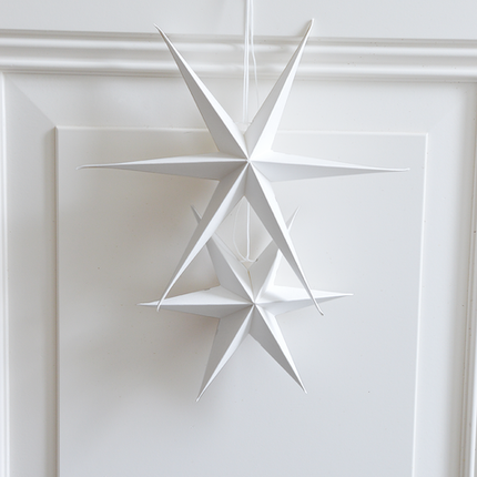 Kerststerren wit set van 2