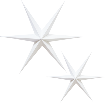 Kerststerren wit set van 2