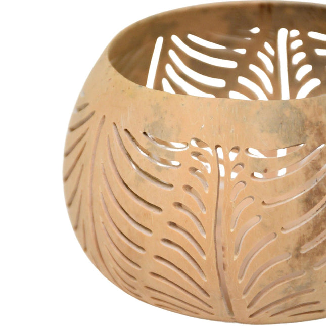 Coconut natural leaf